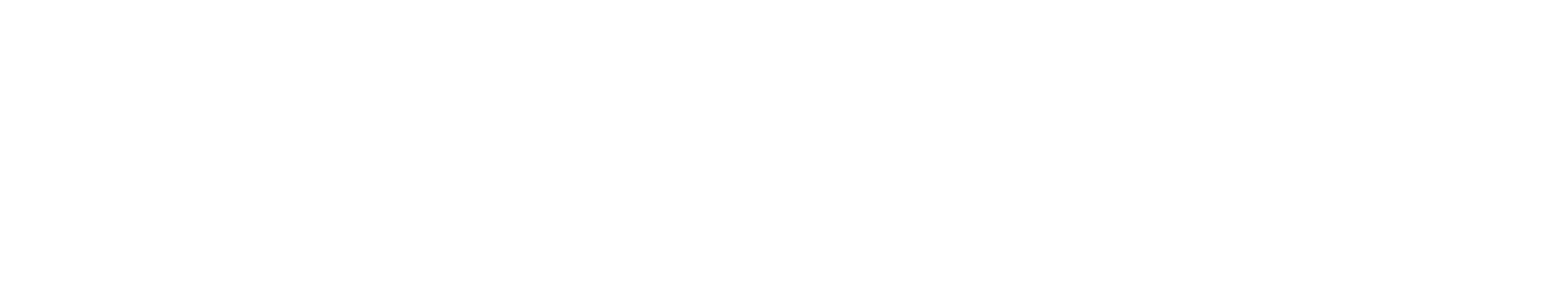 carahsoft logo