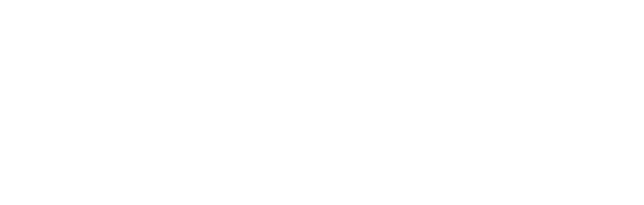 WordPress website development and engineering services placeholder image for modern business solutions